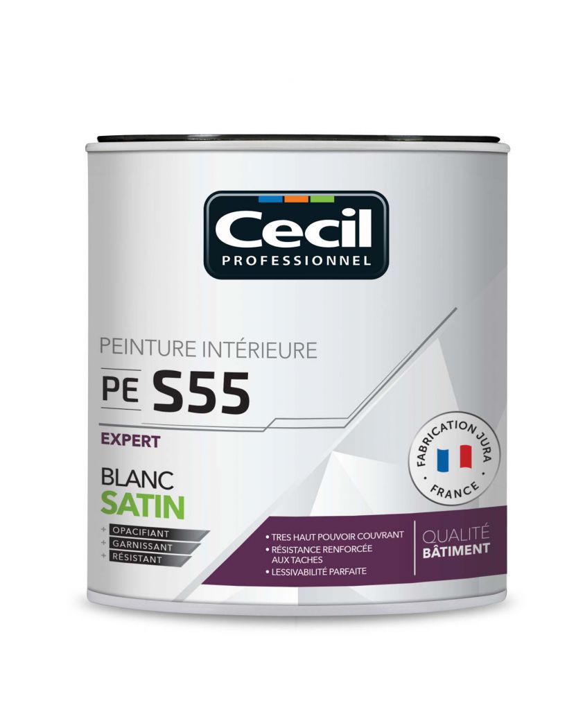 Cecil Professionnel peinture S55