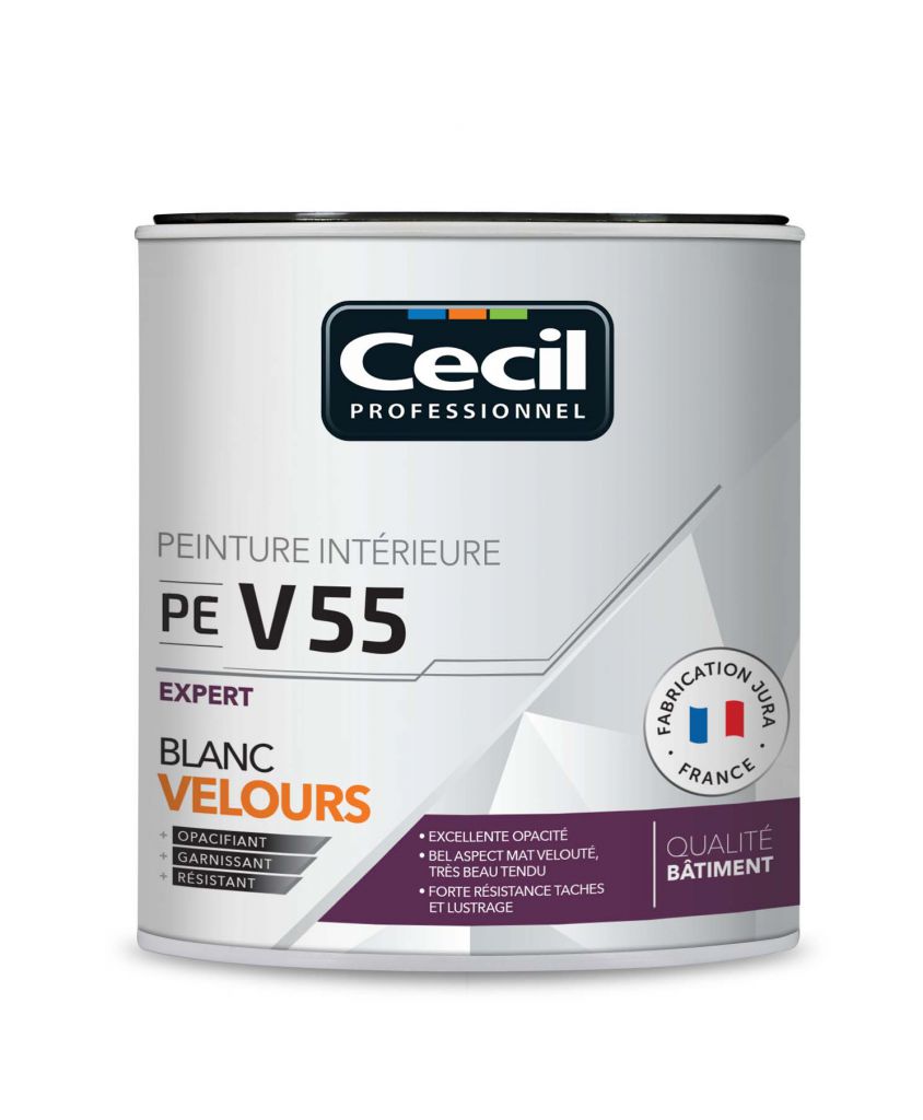 Cecil Professionnel peinture V55