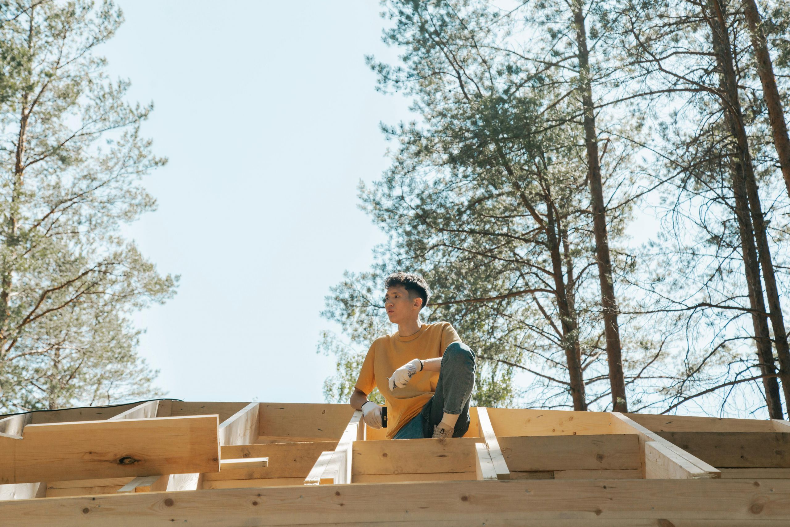 bois panneaux france matériaux construction
